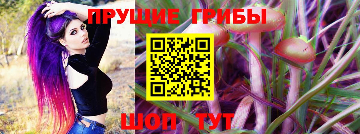 Малоярославец  Галлюциногенные грибы MAGIC MUSHROOMS  Вход с VPN 